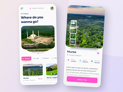 Travel App UI appdesign branding design graphic design ui uiux uiux design web design