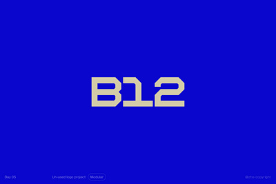 D5 bold font font design graphic design logo minimalist ty typography