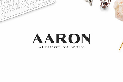 Aaron Serif Font Family branding design font illustration logo font magazine font sans serif serif typograpgy ui