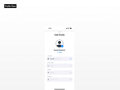 daily ui 10 | profile view dailyui edit input profile ui