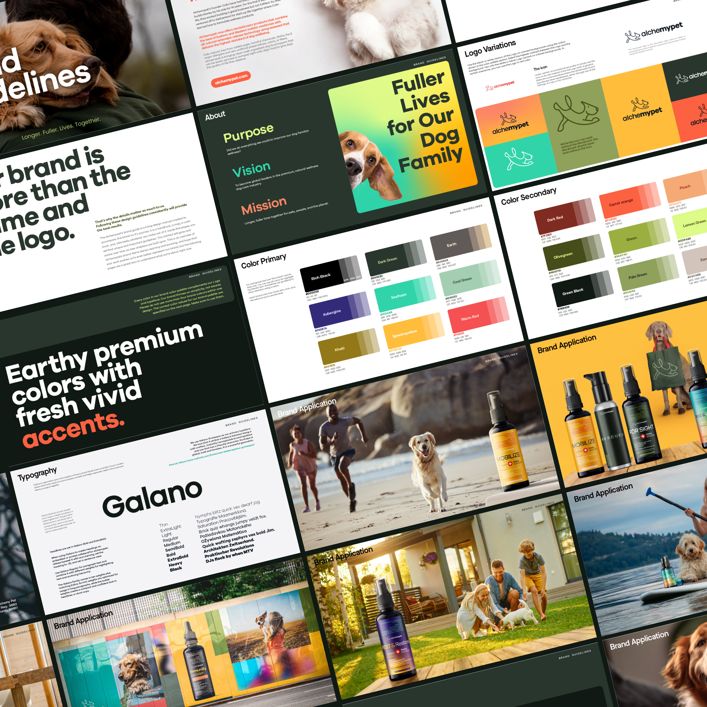 Alchemypet Brand Guide bold brand guides brand manual branding colorful dark green dogs food green high end layout lifestyle logo minimal pet premium sport supplement typography yellow