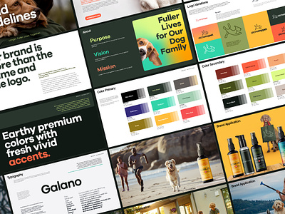 Alchemypet Brand Guide bold brand guides brand manual branding colorful dark green dogs food green high end layout lifestyle logo minimal pet premium sport supplement typography yellow