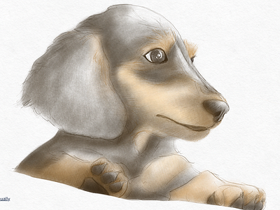My doggies sketch apple pencil dog illustration sketch