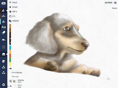 My doggies sketch apple pencil dog illustration sketch