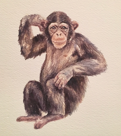 Chimp watercolor
