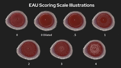 EAU Scoring Scale - Digital