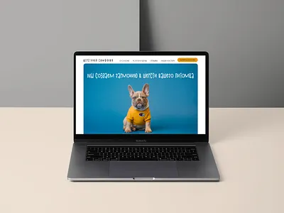 Landing page Grooming salon branding landing logo