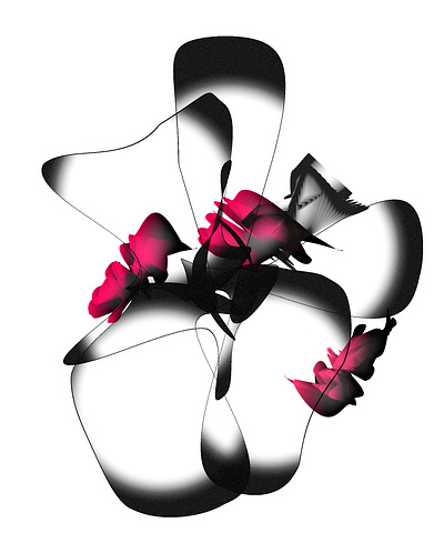 flower art design digitalart flower graphic design illustration