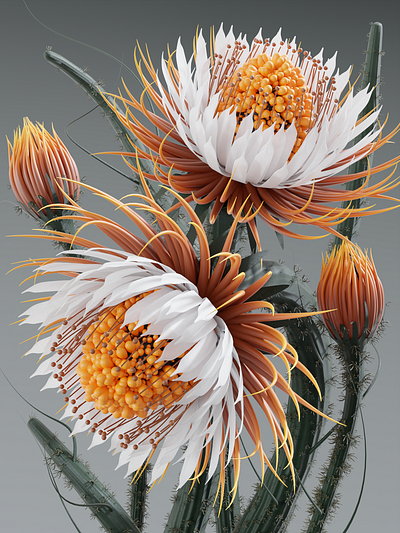Flower Series 14 3d b3d blender branding design flower graphic design illustration