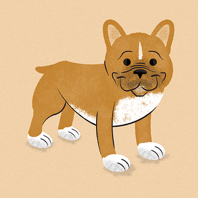 French Bulldog animals breeds bulldog canine companion cute dogs family france french friendship illustration paris paws pets portrait puppies puppy