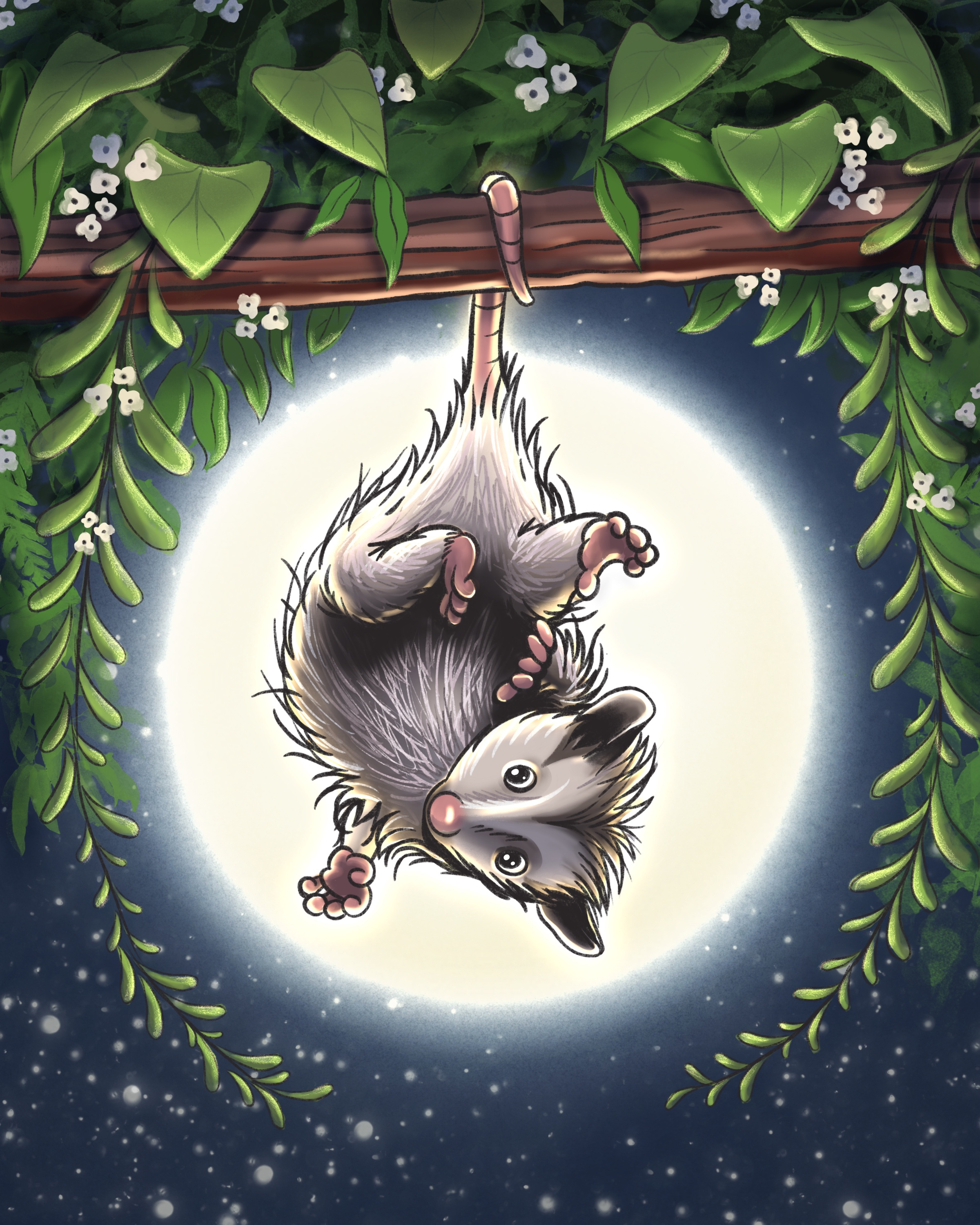 Baby Possum in the Blossoms animal baby baby shower illustration marsupial moon moonlight night illustration night time nocturnal opossum possum procreate procreate illustration tail