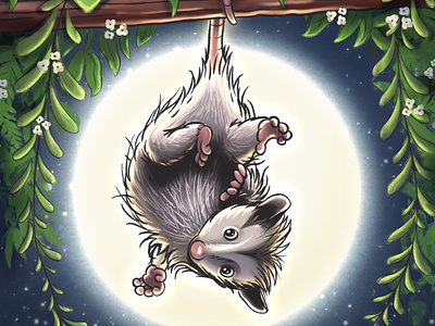 Baby Possum in the Blossoms animal baby baby shower illustration marsupial moon moonlight night illustration night time nocturnal opossum possum procreate procreate illustration tail