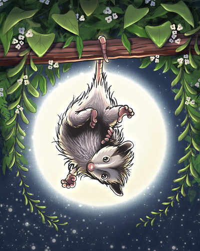 Baby Possum in the Blossoms animal baby baby shower illustration marsupial moon moonlight night illustration night time nocturnal opossum possum procreate procreate illustration tail