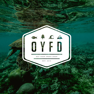 Logo: OYFD branding graphic design logo