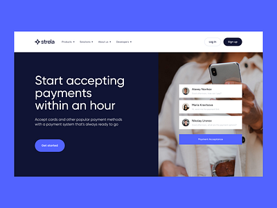 Strela Website – Payment Processing Platform animation graphic design ui