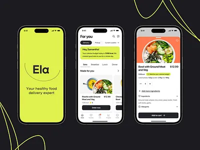 Healthy Food Delivery App app application delivery design ela food fooddelivery illustration interface logo ui uxui