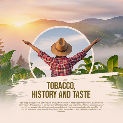 Tabacco In General art branding desain grafus desain poster design flayer flayer desain ilustrasi poster social media