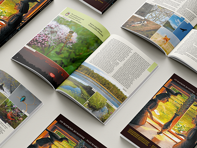 Book Design animals belarus birds book contents cover design graphic design indesign lake magazine nature page photo plant print river sky thesaurus typography