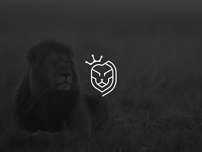 lion logo lion lion logo logo