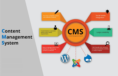 Custom CMS Development Services In Texas, USA | Suntech Apps