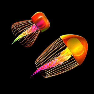 Jellyfish animation generativeart jellyfish motion graphics touchdesigner