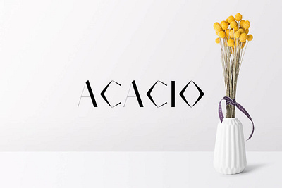 Acacio Serif Font Family Pack branding design font illustration logo font magazine font sans serif serif typograpgy ui