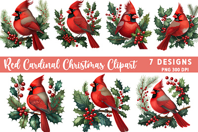 Watercolor Red Cardinal Clipart digital santa claus clipart