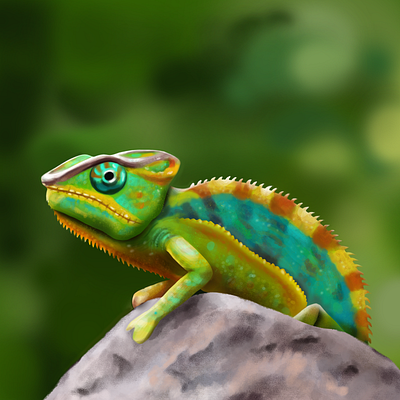 Chameleon illustration