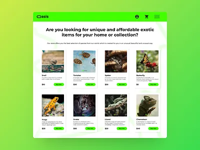 Site for a pet shop design ui веб дизай дизайн екзотичні тварини зелений зоомагазин зоомагазин езотичних тварин креативність перший екран сайт тварини ієрархія