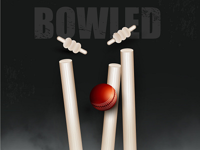 Bowled..!! adobe illustrator bowled cricket graphic design vector wicket