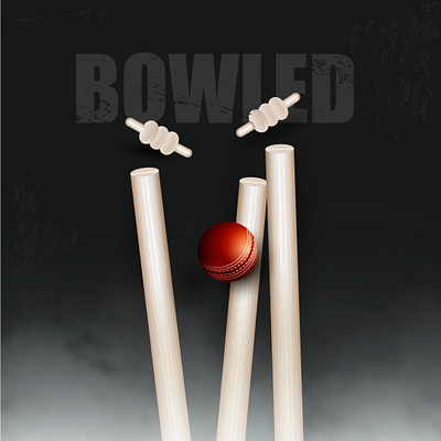 Bowled..!! adobe illustrator bowled cricket graphic design vector wicket