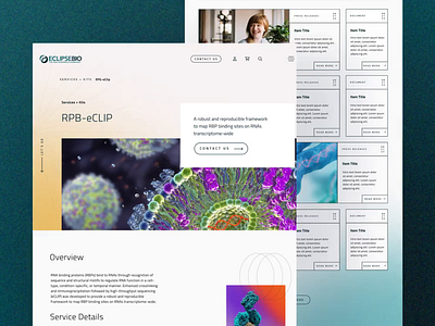 EclipseBio animation artdirection b2b brandingdesign clinical development healthcare responsivedesign science teal uxdesign website websitedesign