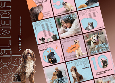 Social media post. Pet caring services. branding dog figma graphic design instagram post pet pet caring pink dog social media ui