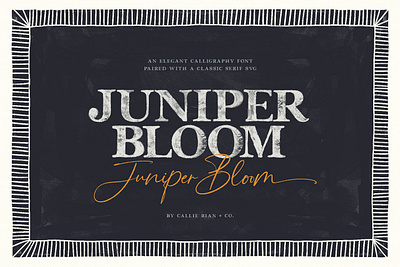 Juniper Bloom Serif, Sans & Folk Art bitmat font calligraphy font folk art font family handmade handmade font script font svg font transparent font typography