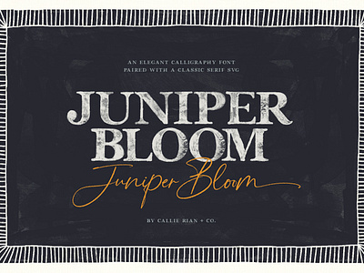 Juniper Bloom Serif, Sans & Folk Art bitmat font calligraphy font folk art font family handmade handmade font script font svg font transparent font typography