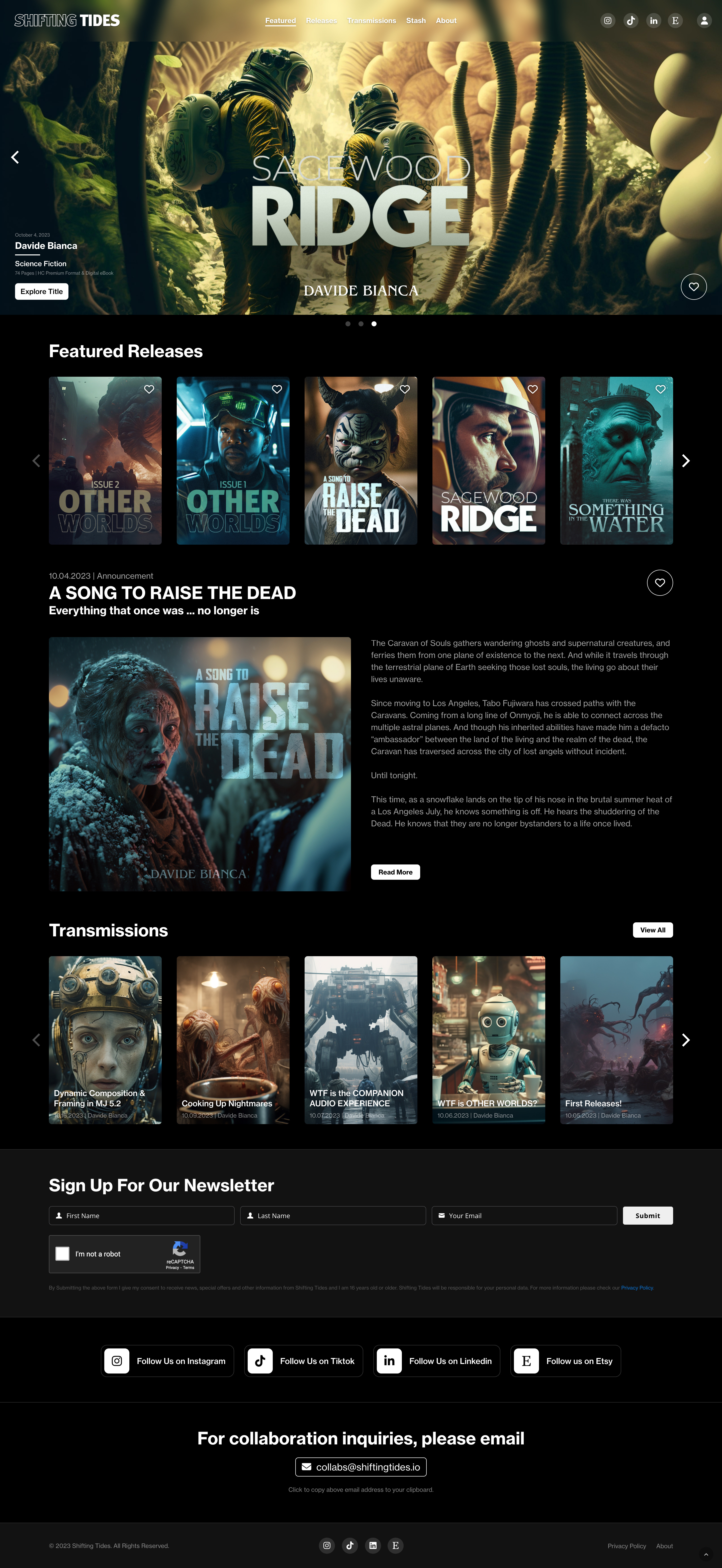 Shifting Tides ebook website website design wordpress