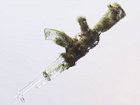 Example of Shot