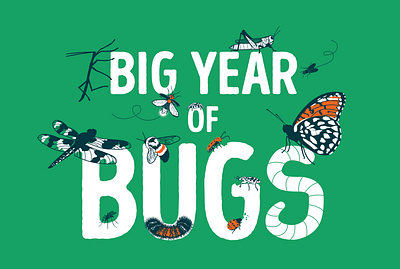 Big Year of Bugs (progress) bee beetle bug bugs butterfly dragonfly firefly fly grasshopper illustration logo spider walkingstick