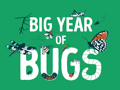 Big Year of Bugs (progress) bee beetle bug bugs butterfly dragonfly firefly fly grasshopper illustration logo spider walkingstick