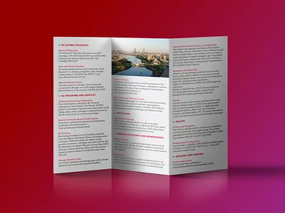 Brochure • BU branding brochure layout print typography