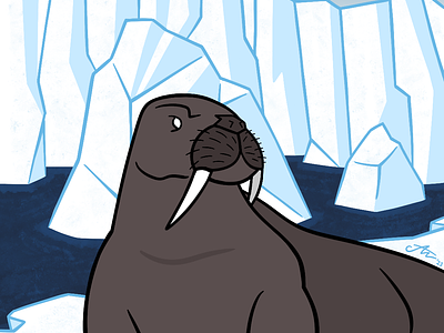 Walrus arctic art comic digitalart digitaldrawing drawing iceberg illustration procreate walrus