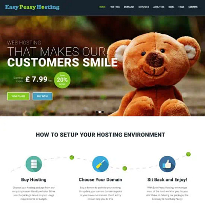 Easy Peasy Hosting - Website Design