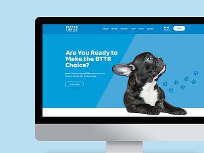 Better Choice Company Landing Page graphic design ui web design