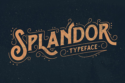 Splandor Typeface app branding design graphic design illustration logo typography ui ux vector