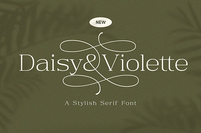 Daisy & Violette - Stylish Serif app branding design graphic design illustration logo typography ui ux vector