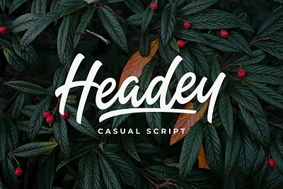 Headey Script app branding design graphic design illustration logo typography ui ux vector