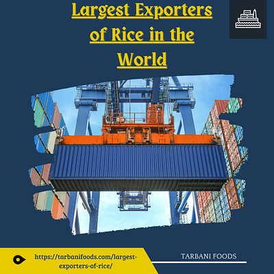 Largest Exporters of Rice in the World branding exporters of rice in the world graphic design largest exporters of rice ui