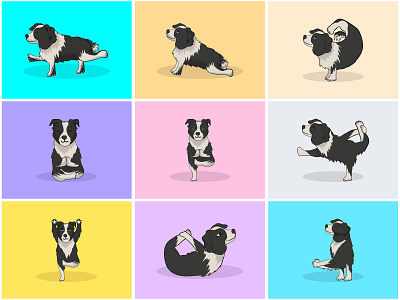 Yoga Dog Part-6 | Morning Yoga with Border Collie🧘‍♀️🌿⚡️ animal art border collie cute dog fitness health illustration lifstyle mascot meditation namaste paw pet pup spiritual sticker vector yoga yoga pose