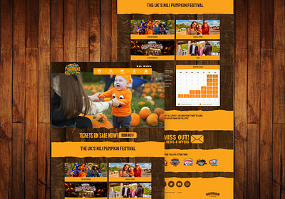 Pumpkin Festival ui website design