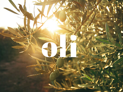 Oli - olive cosmetic brand branding logo